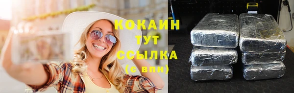 тгк Козельск