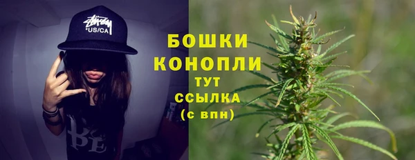 МДПВ Кодинск
