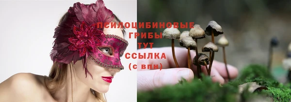 тгк Козельск